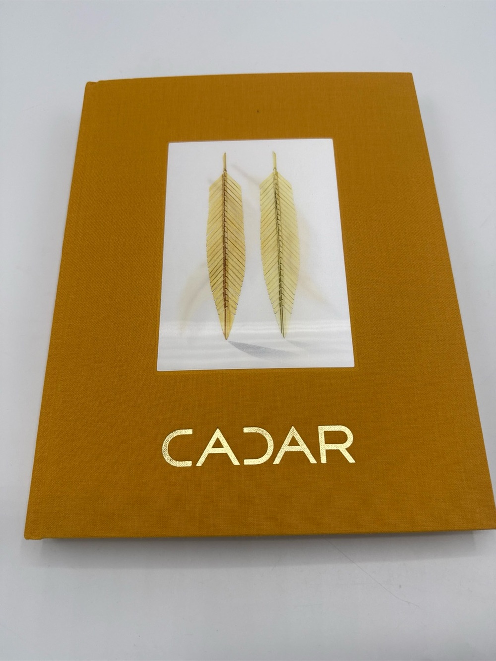 CADAR Coffe Table Book Celebrating 10 Years